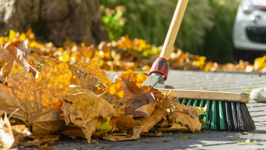 Leaf removal by GC Landscaping And Odd Jobs.