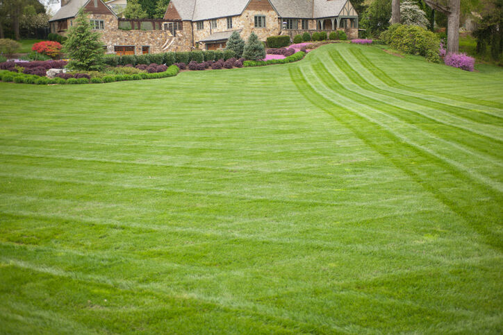 Lawn care by GC Landscaping And Odd Jobs.