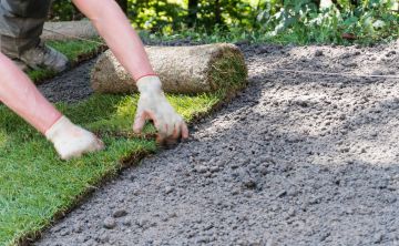 Sod Installation in Awendaw