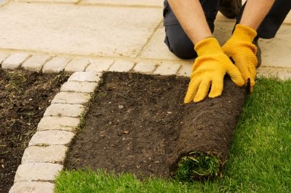 Lawn installation by GC Landscaping And Odd Jobs.